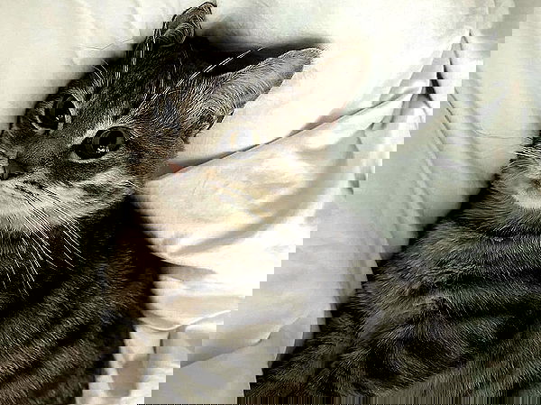 _tero._ image ~ Altpins