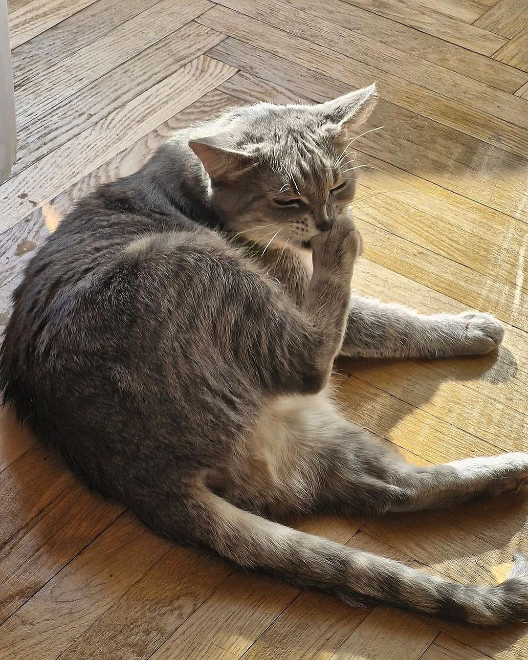 _tero._ instagram image archive image