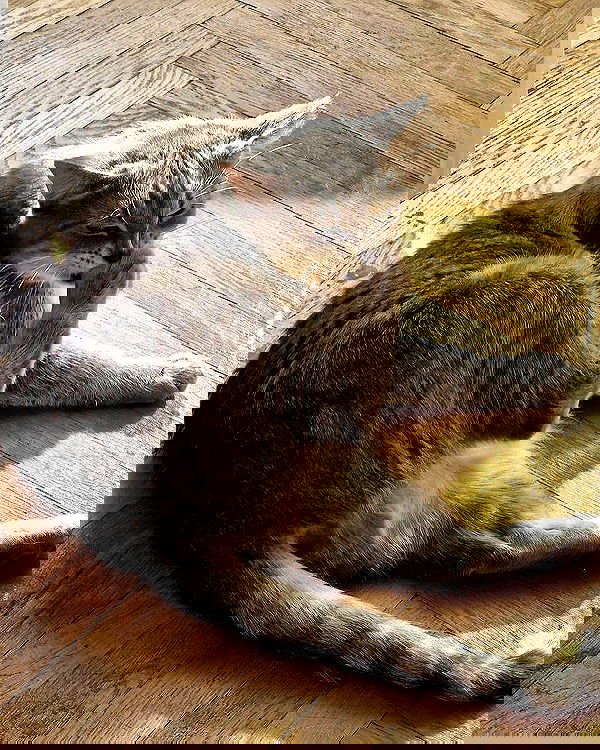 _tero._ image ~ Altpins