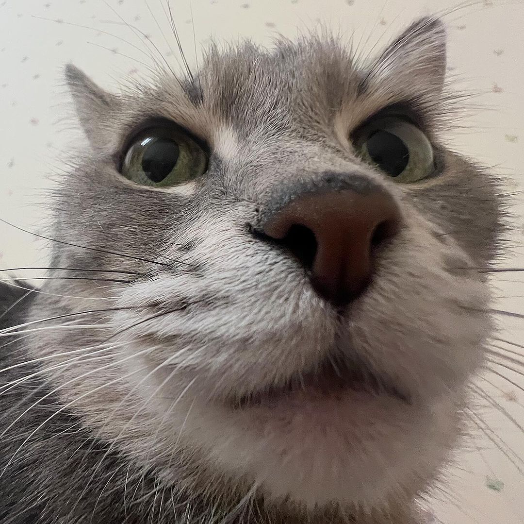 _tero._ instagram image archive image