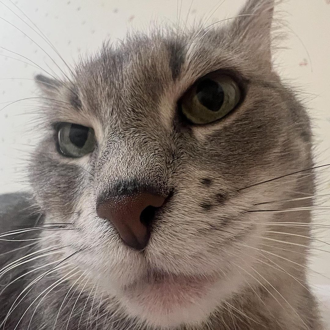 _tero._ instagram image archive image