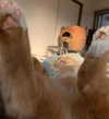 _tero._ Altpins Profile Picture