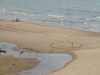 alex_barboy Altpins Profile Picture