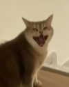 alex_barboy Altpins Profile Picture