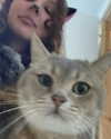 alex_barboy Altpins Profile Picture