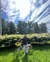 alex_barboy Altpins Profile Picture