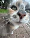 alex_barboy Altpins Profile Picture
