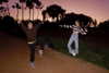 alex_barboy Altpins Profile Picture
