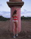 alexander._ph Altpins Profile Picture