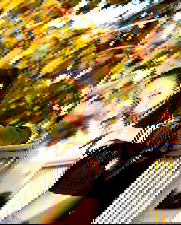 biton__adi biton__adi archive image