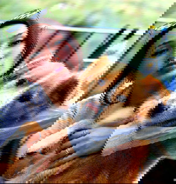 biton__adi biton__adi archive image