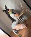 cyberkitty_____ Altpins Profile Picture