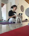 dianavgalvis Altpins Profile Picture