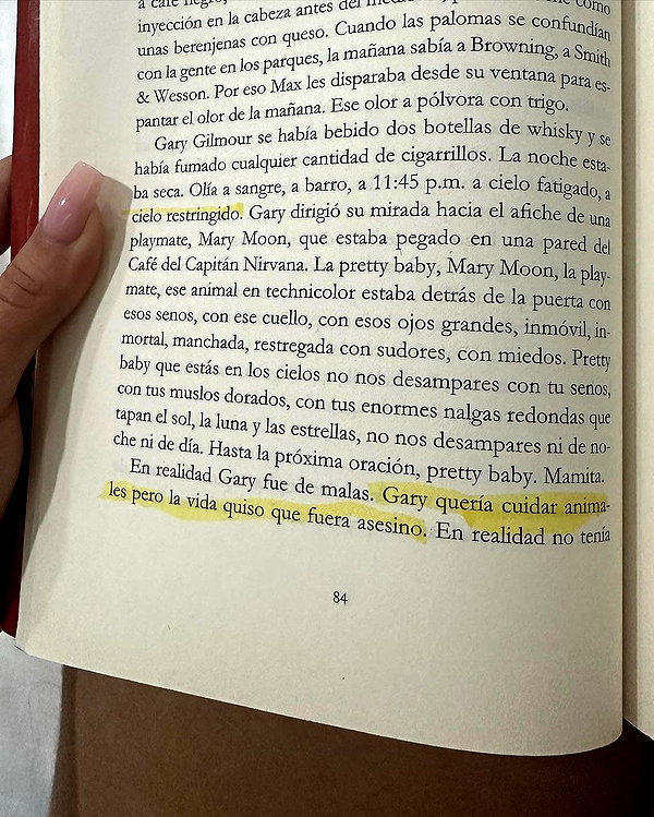 dianavgalvis instagram image archive image