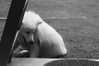 dianavgalvis Altpins Profile Picture