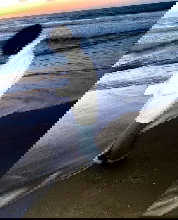 dustheadd dustheadd archive image