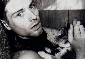 dustheadd dustheadd archive image