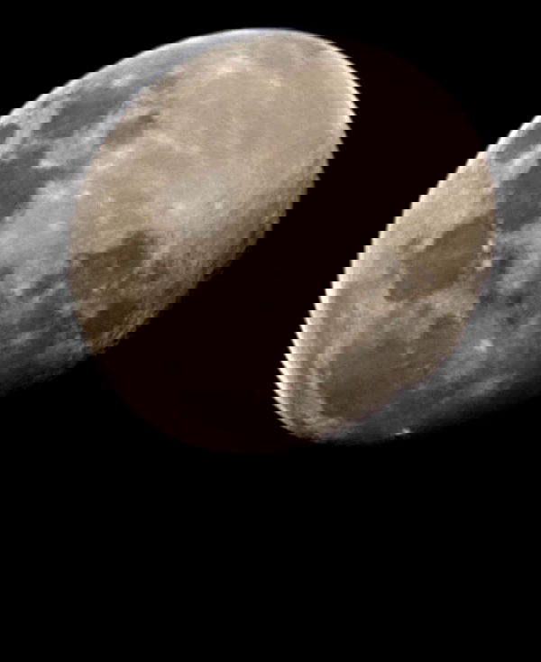 dustheadd dustheadd archive image