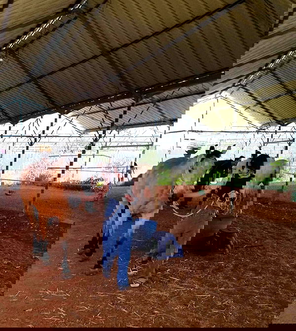 dustheadd dustheadd archive image