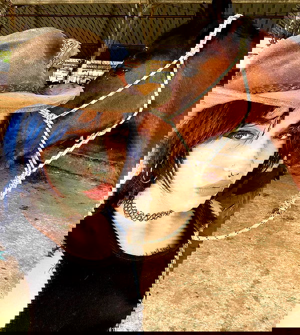 dustheadd dustheadd archive image