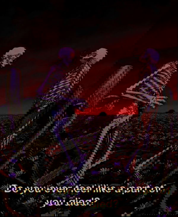 dustheadd dustheadd archive image