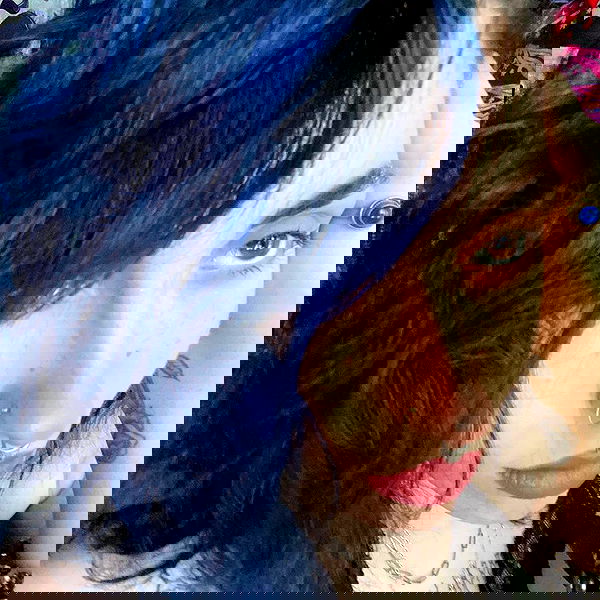 dustheadd dustheadd archive image