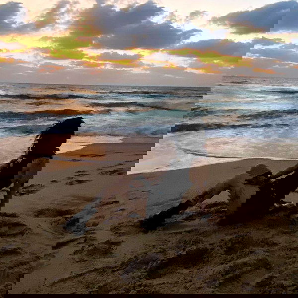 dustheadd dustheadd archive image