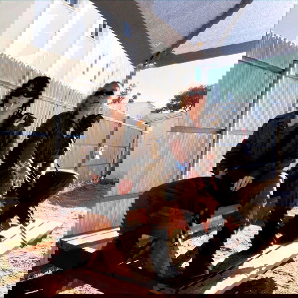 dustheadd dustheadd archive image