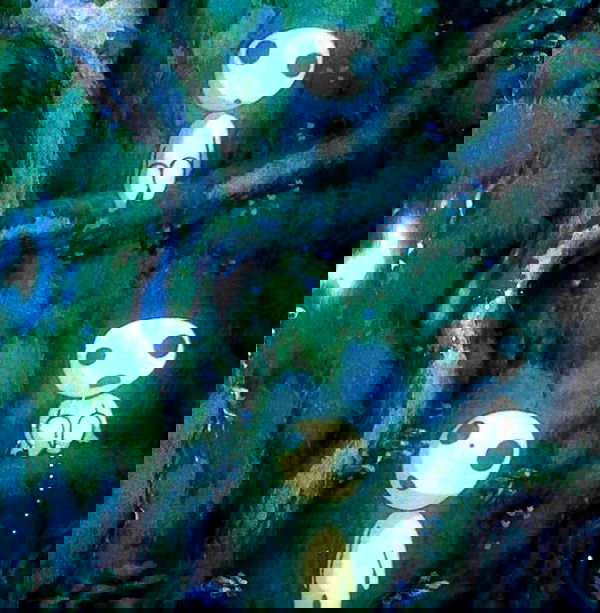 dustheadd dustheadd archive image