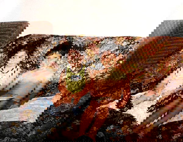 dustheadd dustheadd archive image