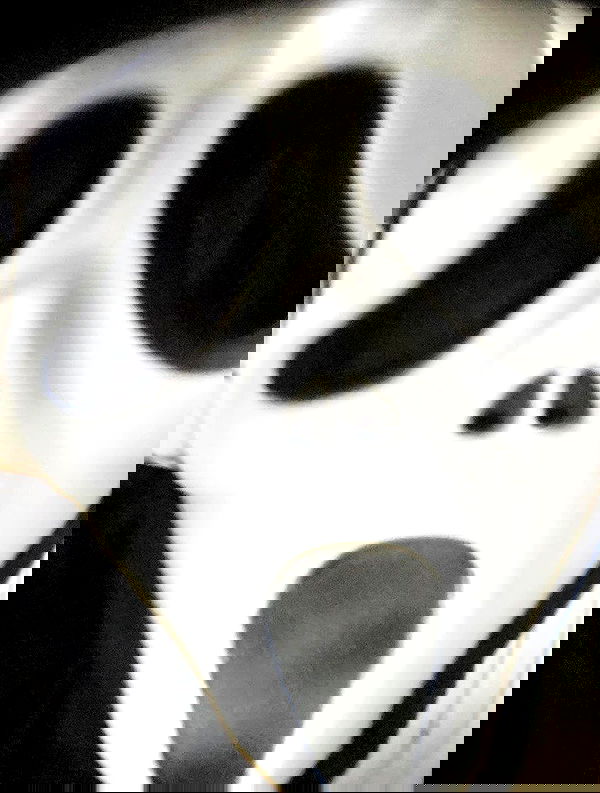 dustheadd dustheadd archive image