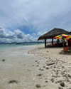 gali_azuolay Altpins Profile Picture