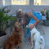 ilana_kotlovker Altpins Profile Picture