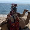ilana_kotlovker Altpins Profile Picture