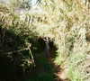 ilana_kotlovker Altpins Profile Picture
