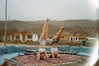 ilana_kotlovker Altpins Profile Picture