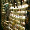 ilana_kotlovker Altpins Profile Picture