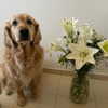ilana_kotlovker Altpins Profile Picture