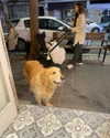 ilana_kotlovker Altpins Profile Picture