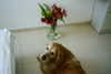 ilana_kotlovker Altpins Profile Picture
