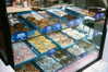 ilana_kotlovker Altpins Profile Picture