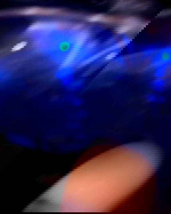 kaliamorcita image ~ Altpins