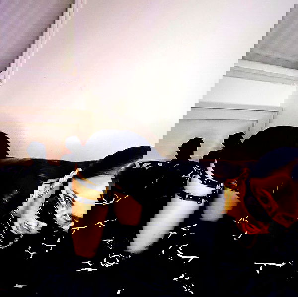 kaliamorcita image ~ Altpins