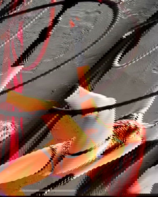 kaliamorcita image ~ Altpins