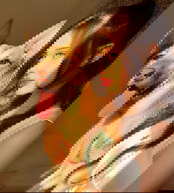 liashaked liashaked archive image