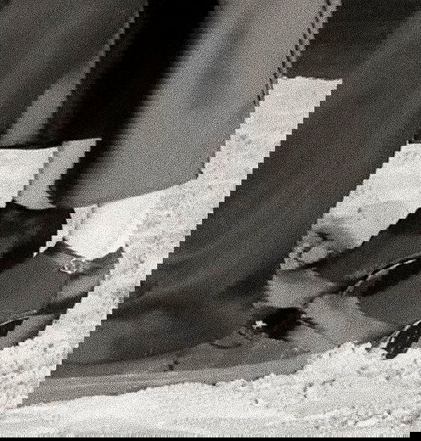 liashaked liashaked archive image