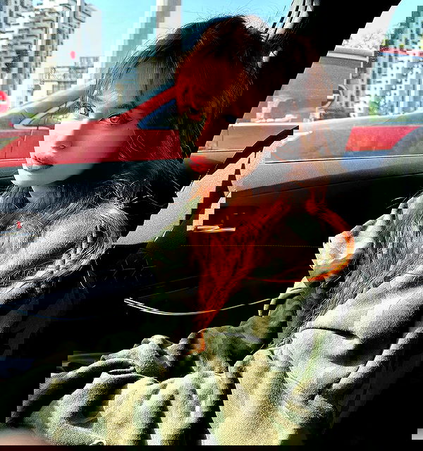 liashaked liashaked archive image