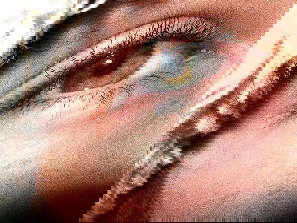 liashaked liashaked archive image