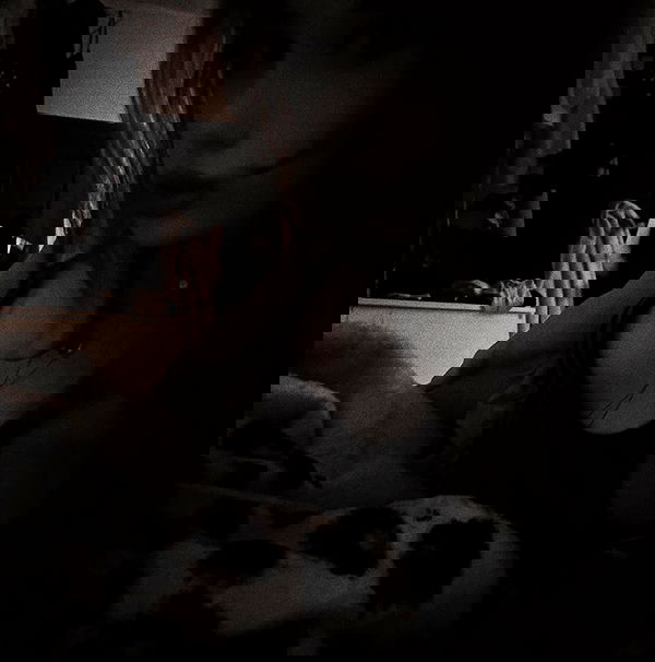 liashaked liashaked archive image