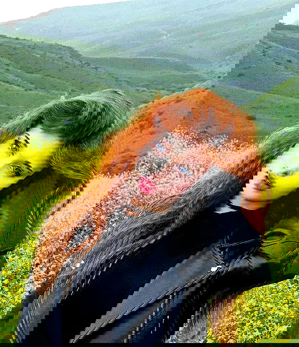 liashaked liashaked archive image